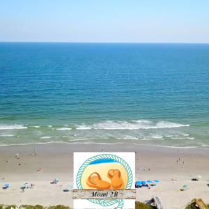 Meant 2-B at Ocean Isle Beach, NC