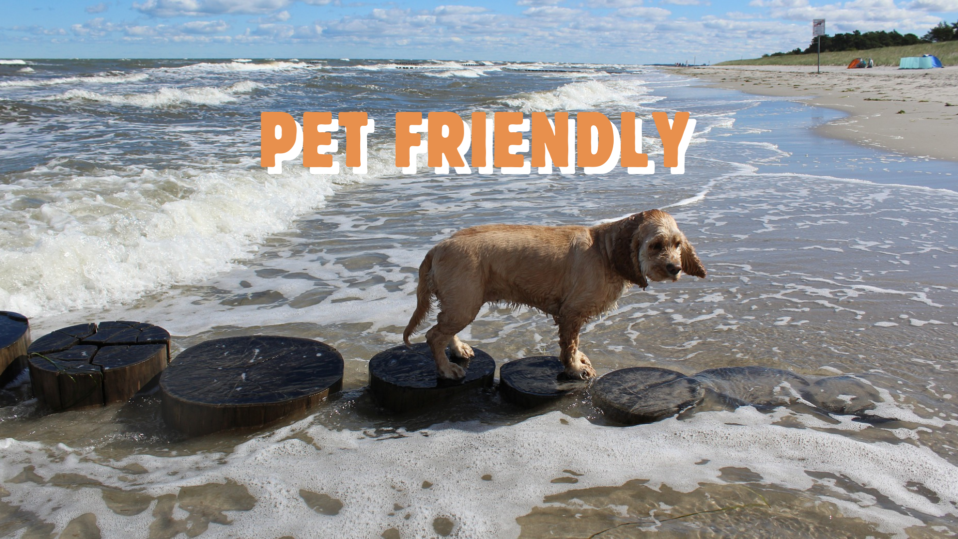 Pet Friendly Vacation Homes