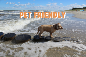 Pet Friendly